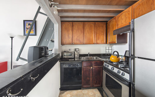 250 Mercer Street, Residence B1105