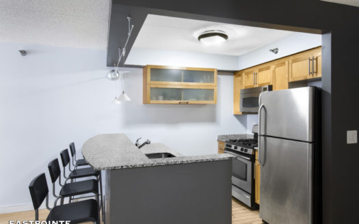 516 West 47th Street, Residence N3G