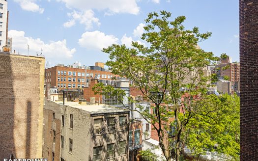 175 West 12th Street, Residence 6N