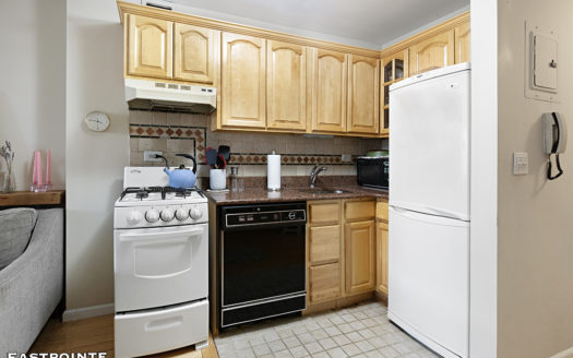 222 West 14th Street, Residence 4J