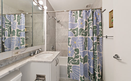 199 Bowery, Residence 11D